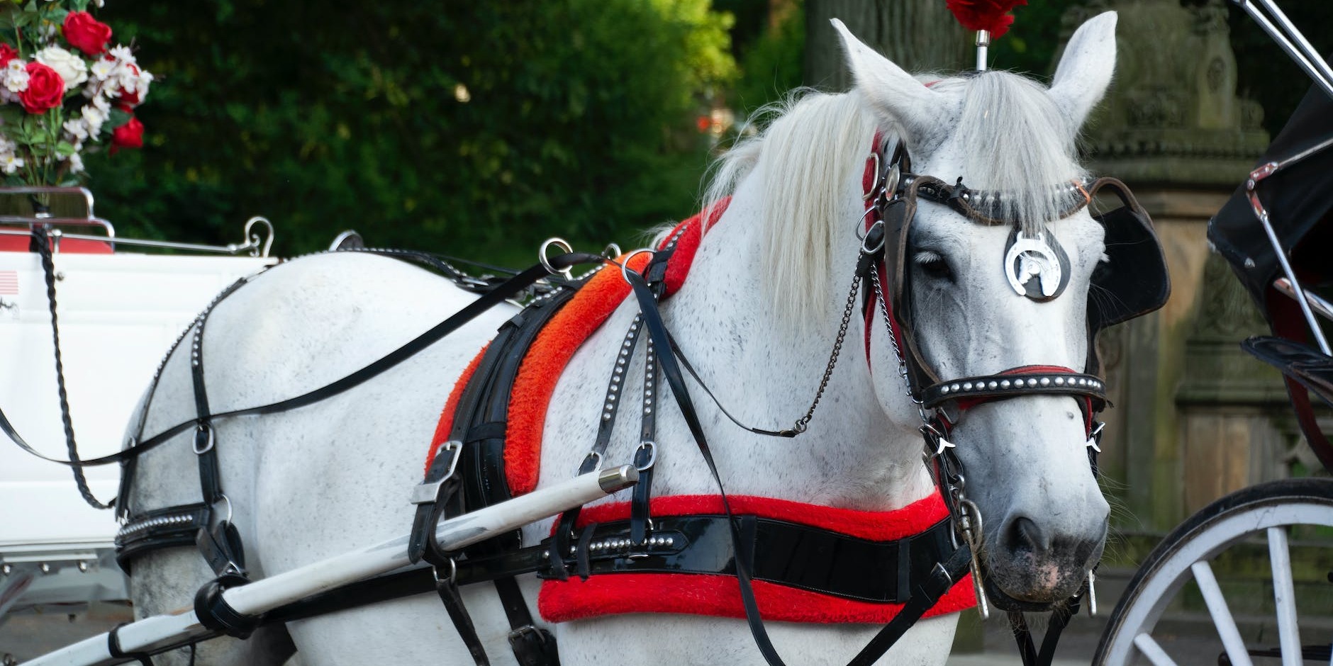 Why the Horse-Drawn Carriage Remains a Wedding Favorite in the UK